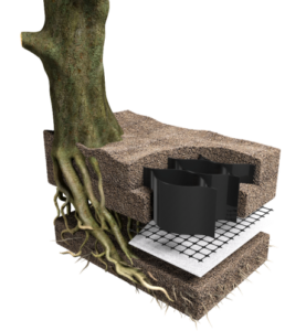 Tree Root Protection geocell system