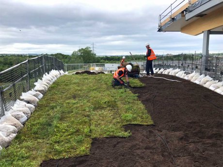 Wildflower service for the green roof system