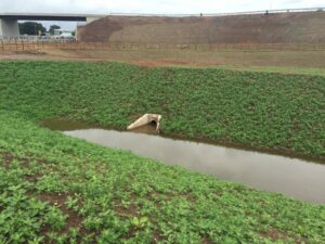 SuDS vegetated retaining walls for SuDS ponds