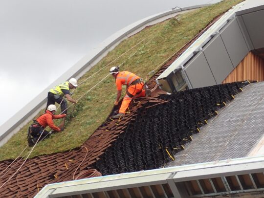 Installation of the Erosaweb Geocell on the Alder Hey Hospital Green Roof Project