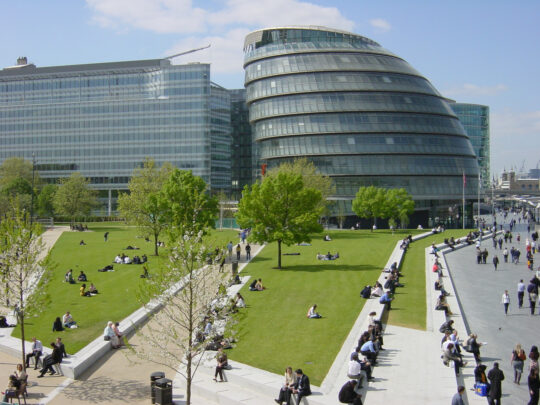 ATS Advanced Turf for reinforcing grassed surfaces for pedestrians in London