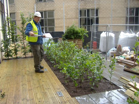 Geogreen Solutions finishing planting
